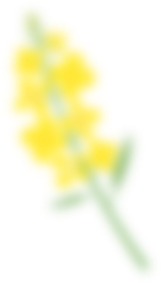 1742867984916739 1742867984916739